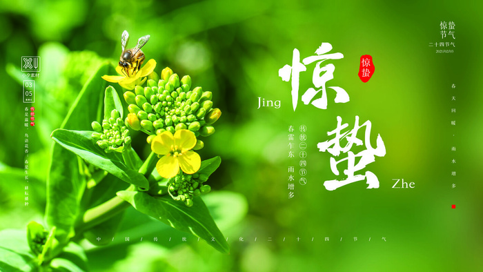 24二十四节气中国风创意惊蛰节日宣传海报模板PSD设计素材