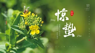 24二十四节气中国风创意惊蛰节日宣传海报模板PSD设计素材
