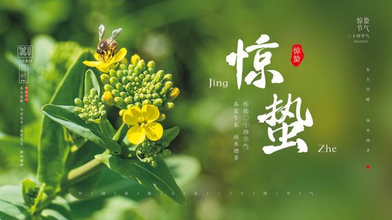 24二十四节气中国风创意惊蛰节日宣传海报模板PSD设计素材 24二十四节气中国风创意惊蛰节日宣传海报模板PSD设计素材