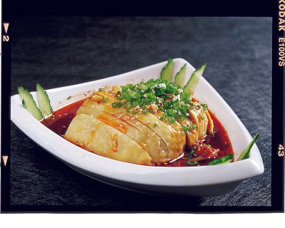 LCH4282时尚口水鸡