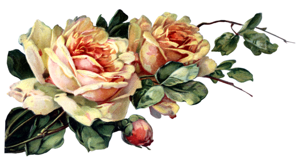 古典花卉png免扣素材