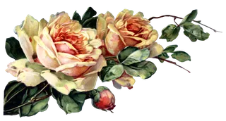 古典花卉png免扣素材