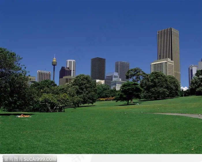 绿地 城市 蓝天