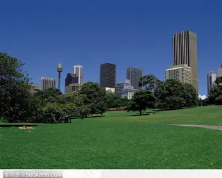 绿地 城市 蓝天