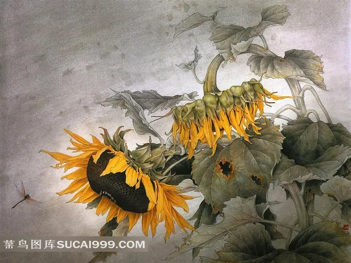 精美向日葵蜻蜓花鸟壁纸