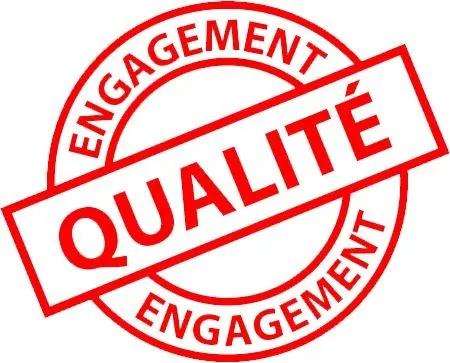 认证PNG免抠(450x363)