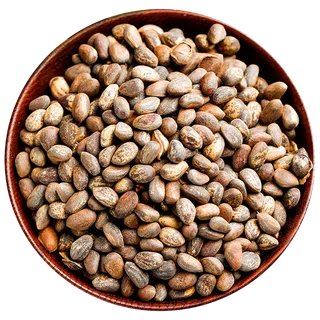 野生松子干果超市商品白底图免抠实物摄影png格式图片透明底