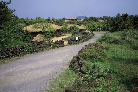 树林间草地上的茅草屋