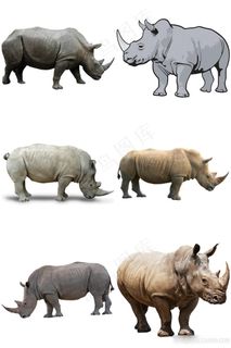犀牛免抠素材