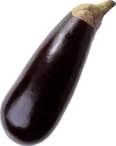 茄子PNG图像免费下载免抠(2648x3329)