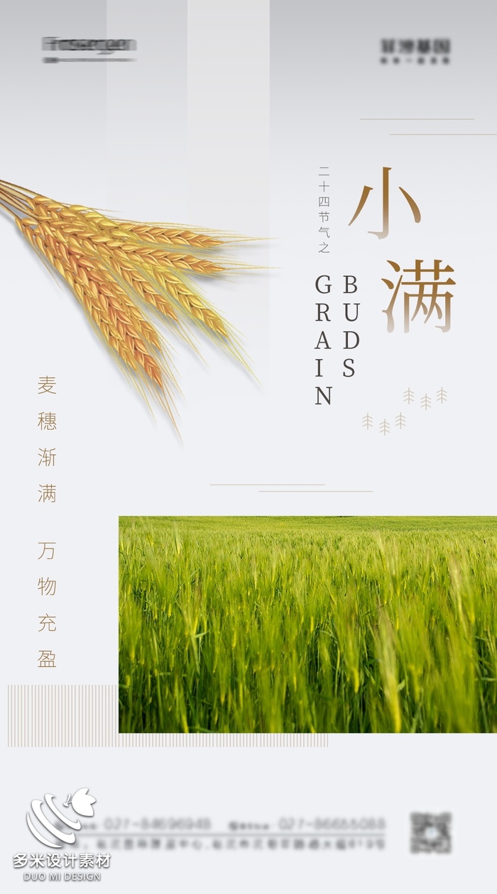 小满 (48)psd模版下载