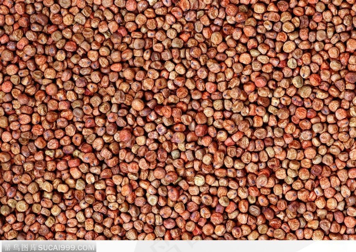 食物背景-褐色的蚕豆