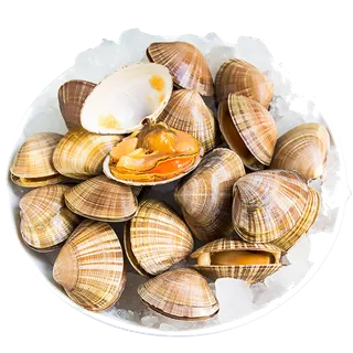 青蛤海鲜超市商品红酒白底图免抠实物摄影png格式图片透明底