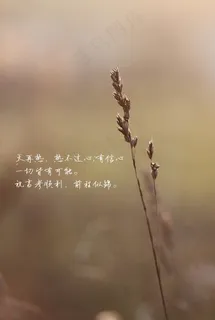 高考励志语录图片 高考励志语录图片