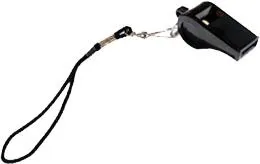 口哨 PNG免抠(260x164)