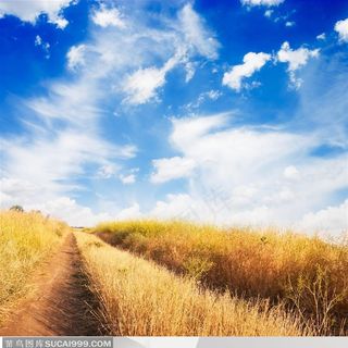 蓝天白云下的野草地枯草地