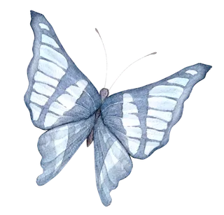 卡通动画动画蝴蝶免扣PNG手绘插画图片素材 (87)