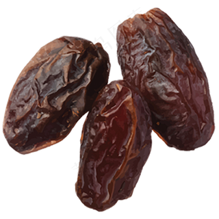 海枣免抠素材 (8)