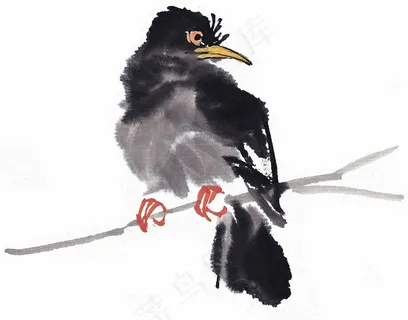 国画鸟国画图片图片素材 国画鸟国画图片图片素材