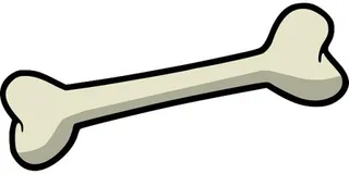 骨头 PNG免抠