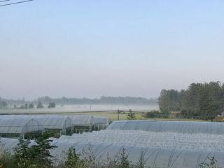 乡村/清晨/手机摄影/自然/风景/农村
