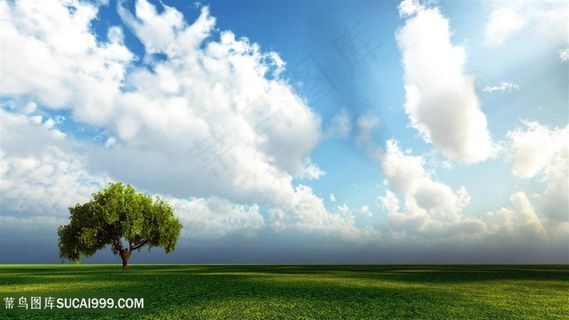 蓝天白云草地风景画壁纸