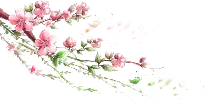 粉色简约风手绘鲜花花朵水墨画PNG素材图片 (86)