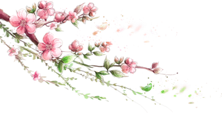 粉色简约风手绘鲜花花朵水墨画PNG素材图片 (86)