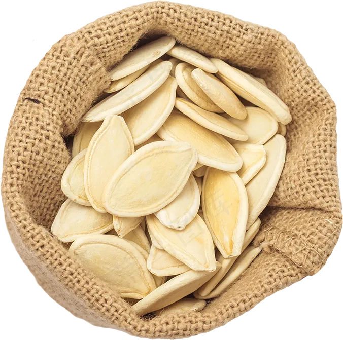 03_Pumpkin Seeds Bag
