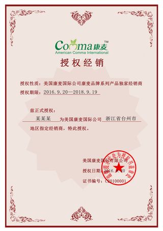 公司企业网络电子模板代理授权资质证书PSD制作设计源文件