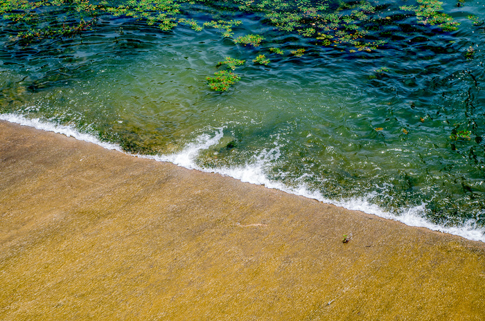 流水青苔水花