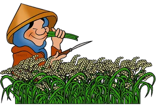 现代农业收割小麦卡通