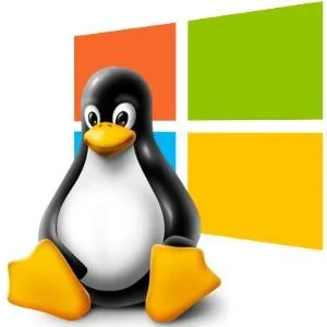 Linux 标志 PNG免抠(300x300)
