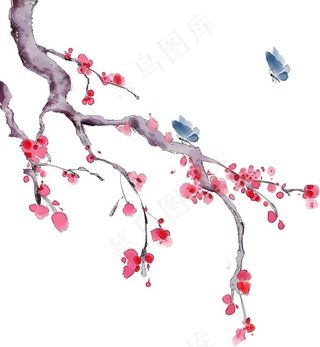 国画梅花蝴蝶图片