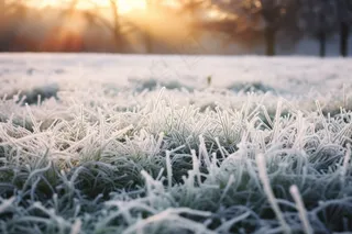 白霜覆盖着草地清晨摄影图