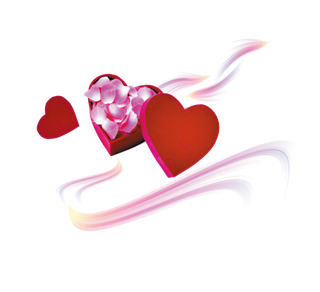 爱心礼盒花瓣情人节