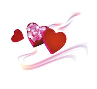 爱心礼盒花瓣情人节