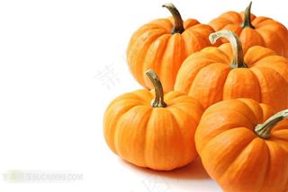 新鲜南瓜高清摄影图