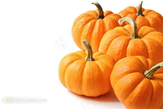 新鲜南瓜高清摄影图