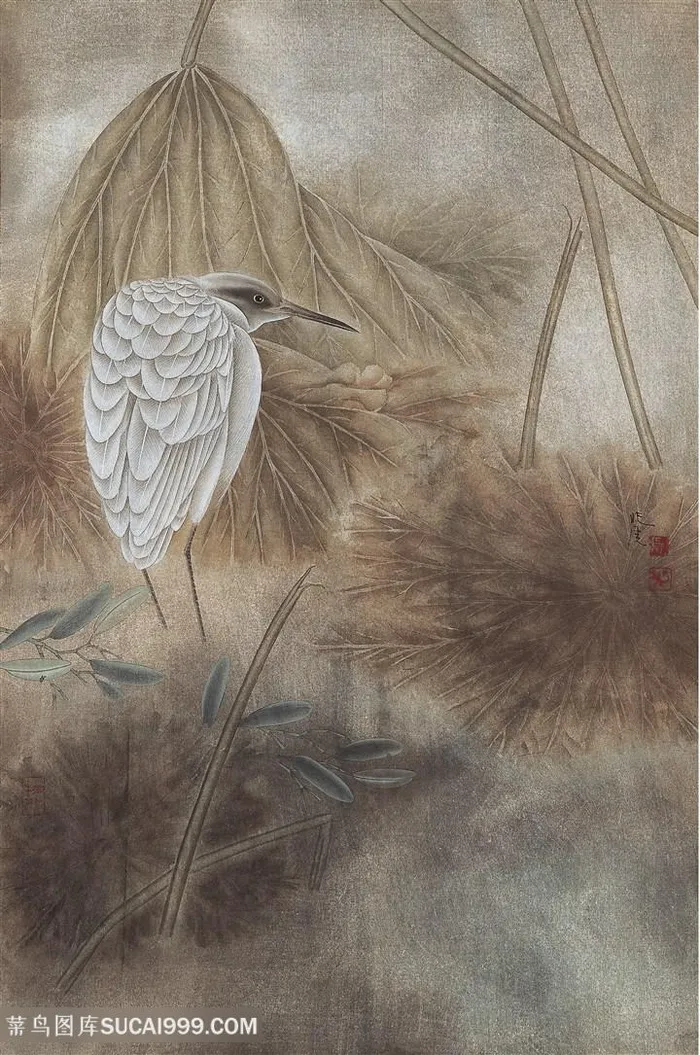 复古鸟时尚高清装饰画