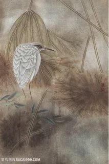 复古鸟时尚高清装饰画 复古鸟时尚高清装饰画