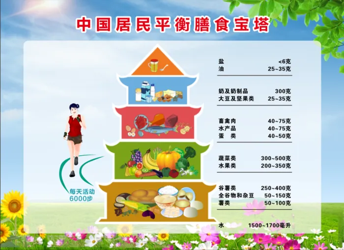 中国居民平衡膳食宝塔cdr矢量模版下载