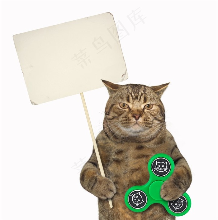 举着牌的猫咪高清图片