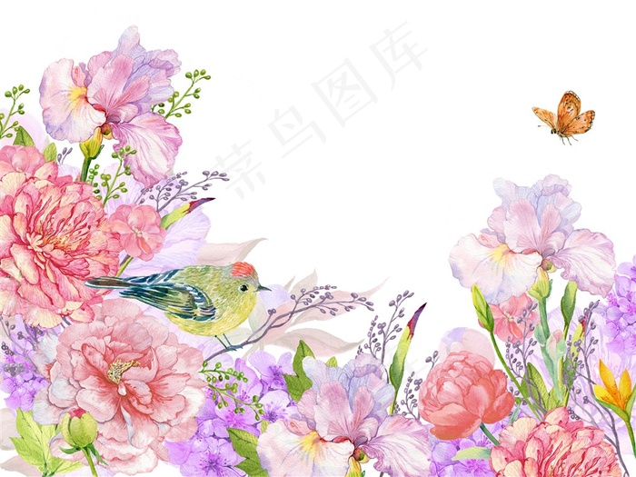 多彩手绘植物边框背景高清图片