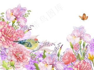 多彩手绘植物边框背景高清图片