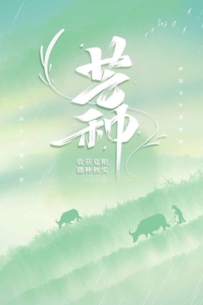 芒种 芒种活动物料psd模版下载