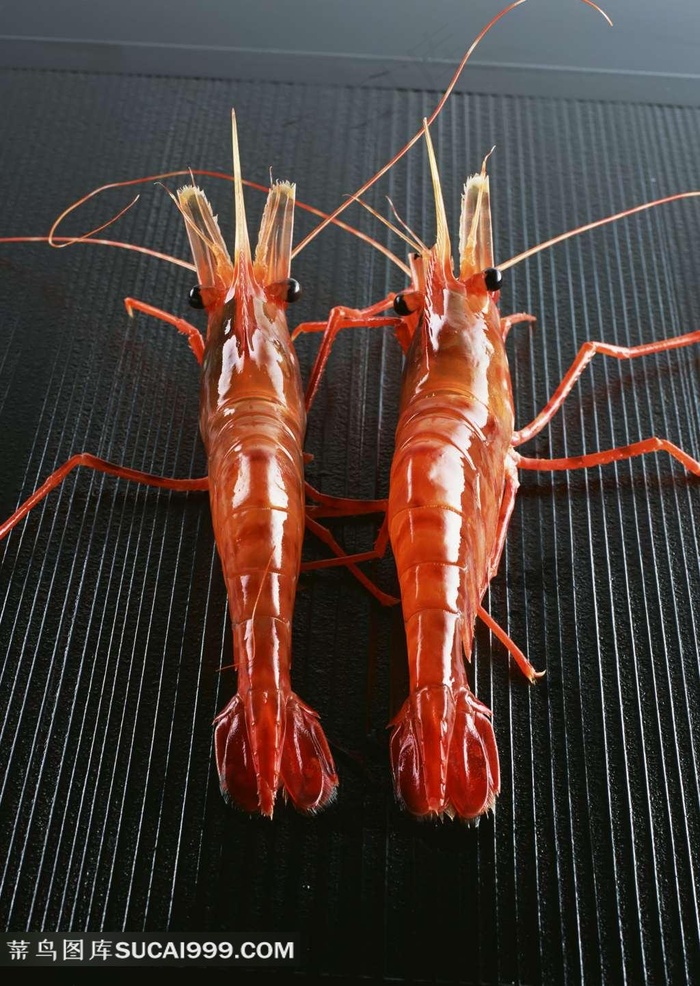 鲜虾素材图片
