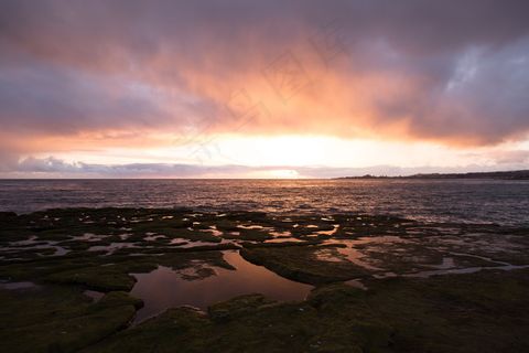 黄昏沼泽地图片 黄昏沼泽地图片