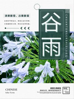 谷雨二十四节气海报设计