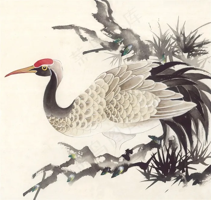 国画花鸟绘画美图素材